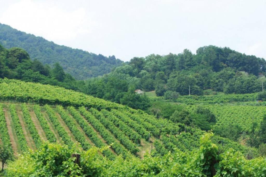 I 4 Elementi Crespano del Grappa
